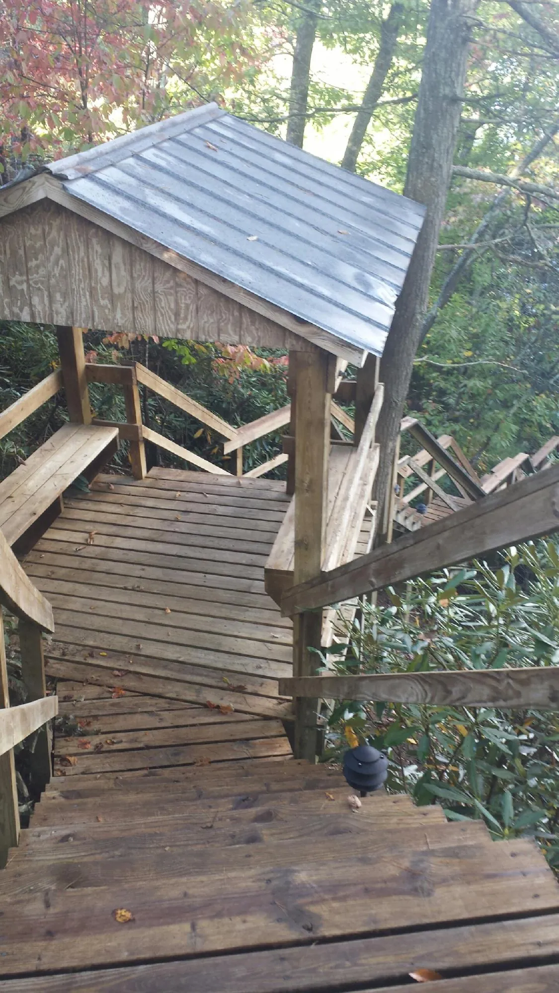 Metal roofed shelter over wooden steps on a wooded walkway — Skylight Repair & Installation work by our crew in Ludowici